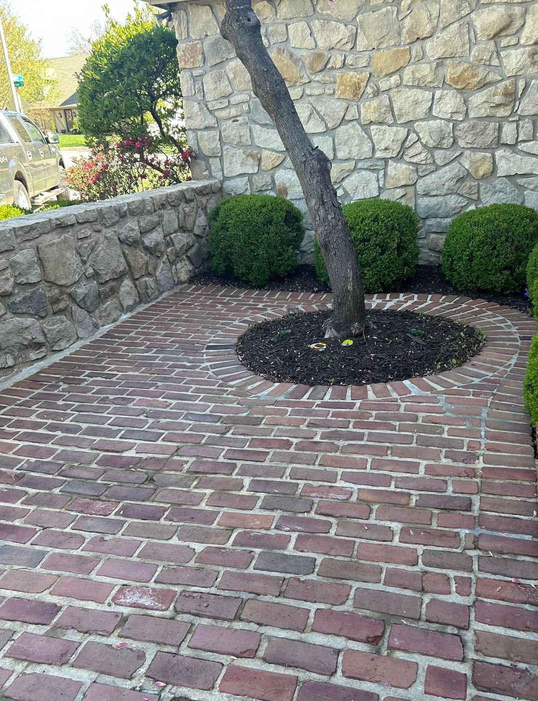 Brick patio around a tree